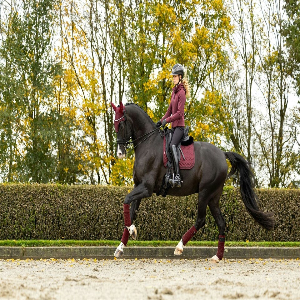 image 1 of LeMieux Crystal Suede Dressage Pad Brown | Small/Medium
