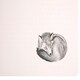 image 4 of Interiors By Premier Set Of Two Mini Forest Placemats And Coasters, Woodland-Themed Dining Set, Heat Resistant Tableware