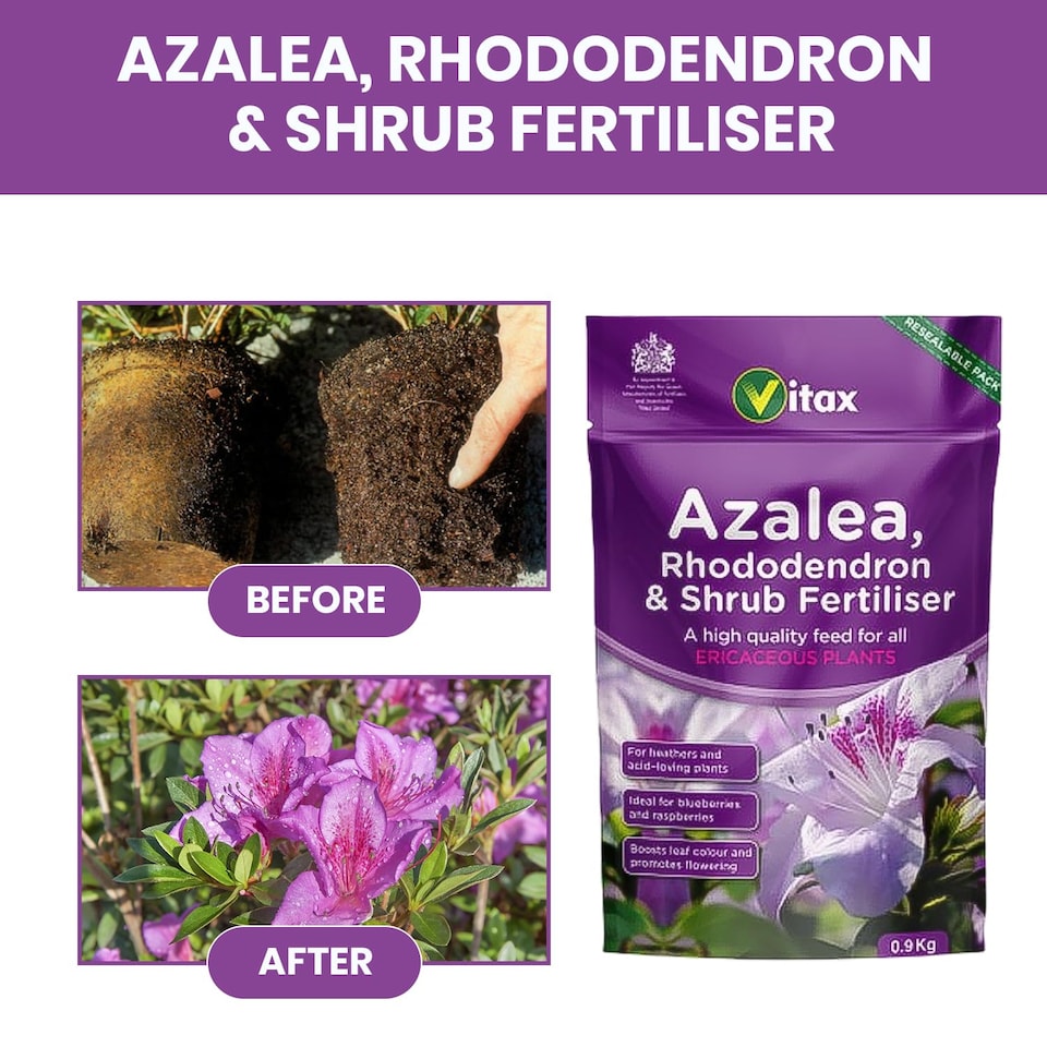image 1 of language Vitax Azalea Rhododendron & Shrub Fertiliser 0.9kg Organic Acid-Loving Plant Feed for Healthy Growth & Blooms