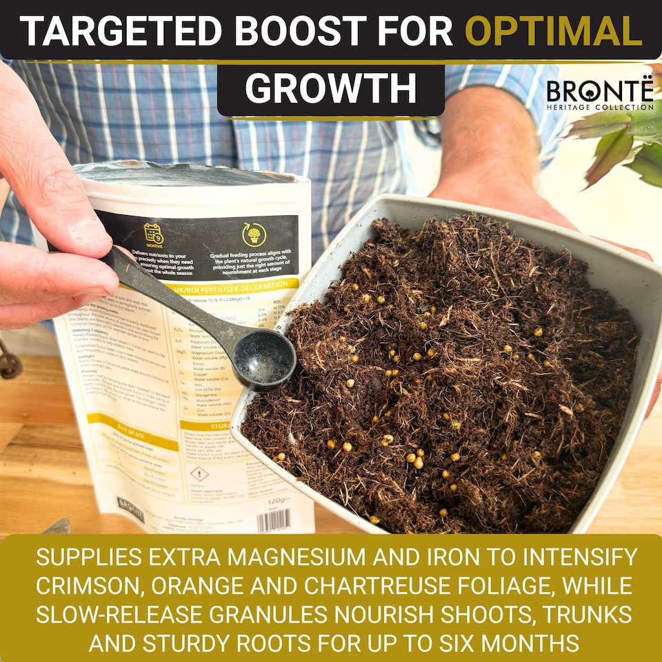image 1 of Acer Controlled-Release Fertiliser Plant Food for Japanese Maples in Borders Containers Granules for Healthy Growth 120g Pouch
