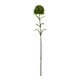 image 1 of Hill Interiors Dianthus Artificial Plant - Dark Green - 53cm