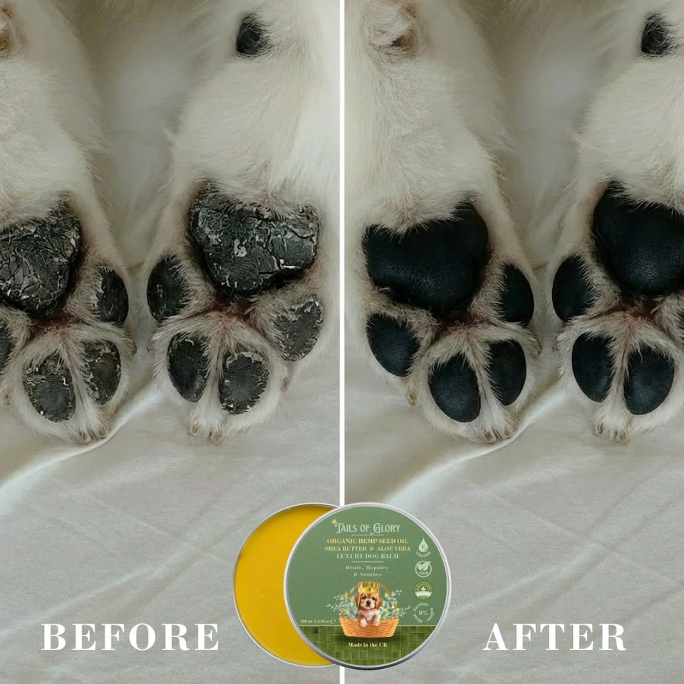 image 1 of Tails of Glory Organic Botanical Dog Balm