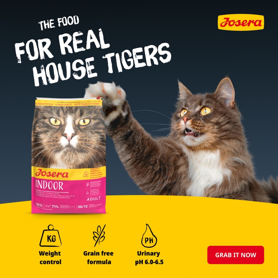image 1 of Josera Indoor complete cat food | For sterilised or indoor adult cats | Grain-free | Lower calorie | Weight Management | Omega 3 | Urinary pH | 0.4kg