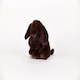 image 5 of Warmies Plush Chocolate Labrador Microwavable LARGE
