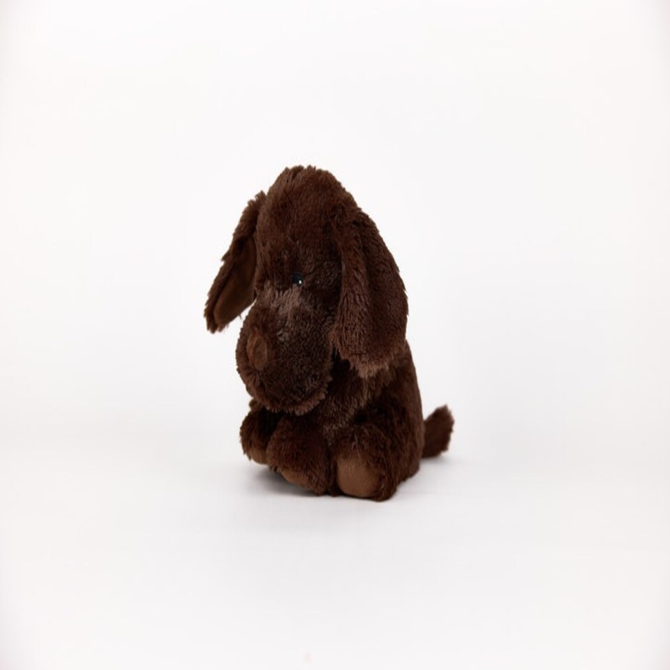 image 1 of Warmies Plush Chocolate Labrador Microwavable LARGE