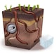 image 1 of Build a Worm World