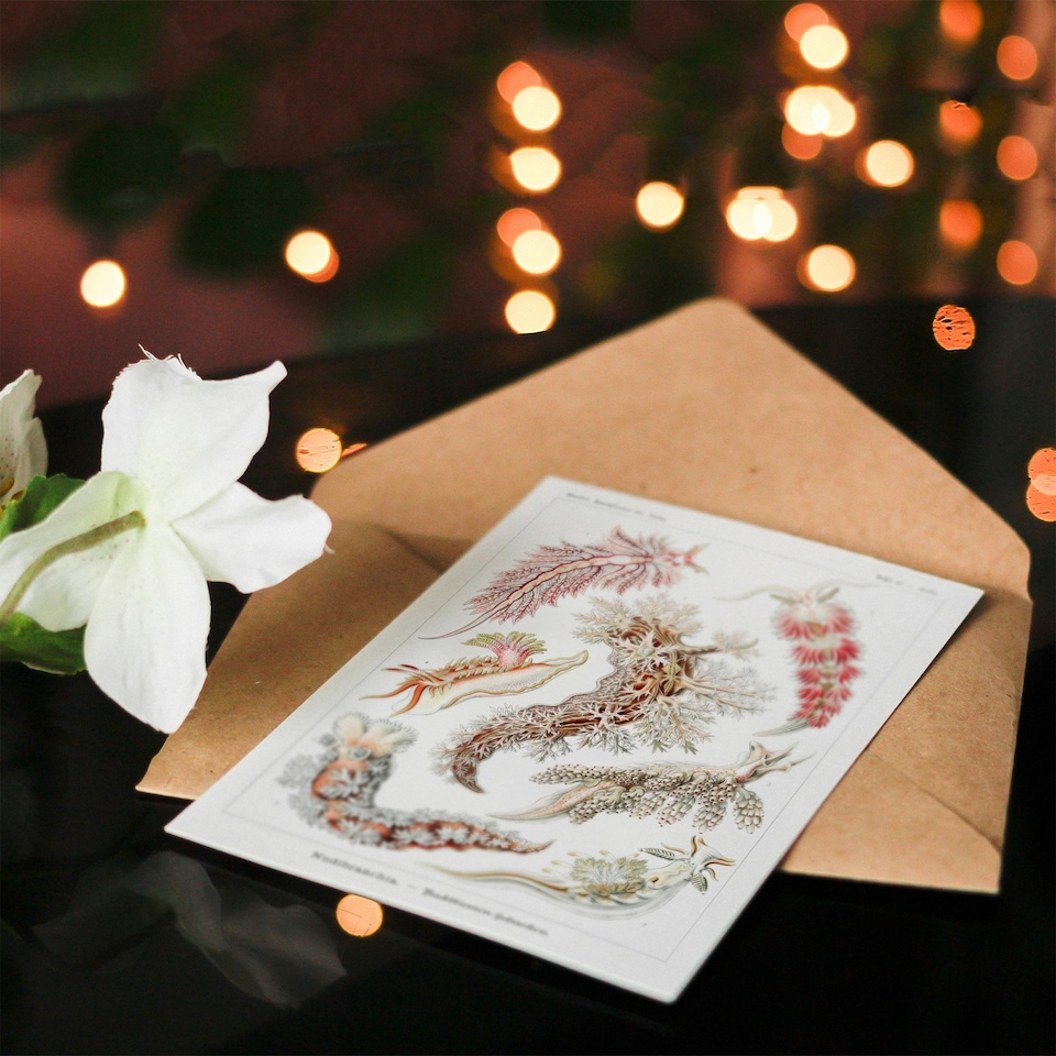 image 1 of Ernst Haeckel Art Card Nudibranch Sea Slug Molluscs