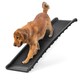image 1 of KCT Portable Folding Pet Ramp