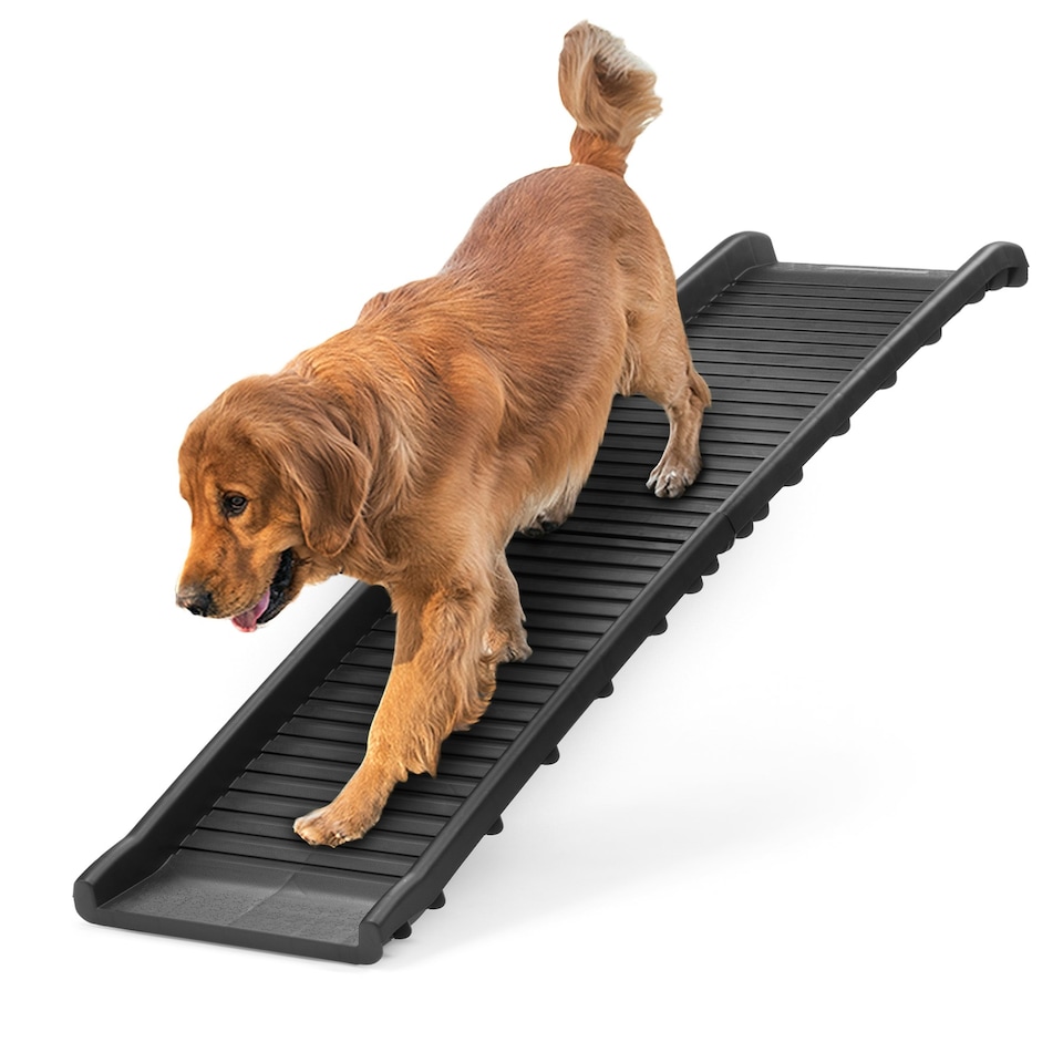 image 1 of KCT Portable Folding Pet Ramp