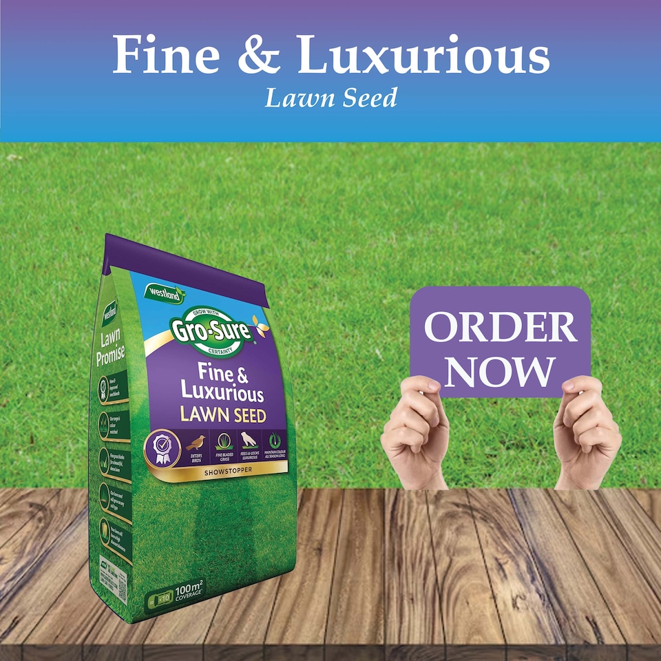 image 1 of Westland Gro-Sure Fine & Luxurious Lawn Seed 100 square Metre Bag Fine Bladed Grass Seed for Thick Soft Green Lawn New or Patch Repair