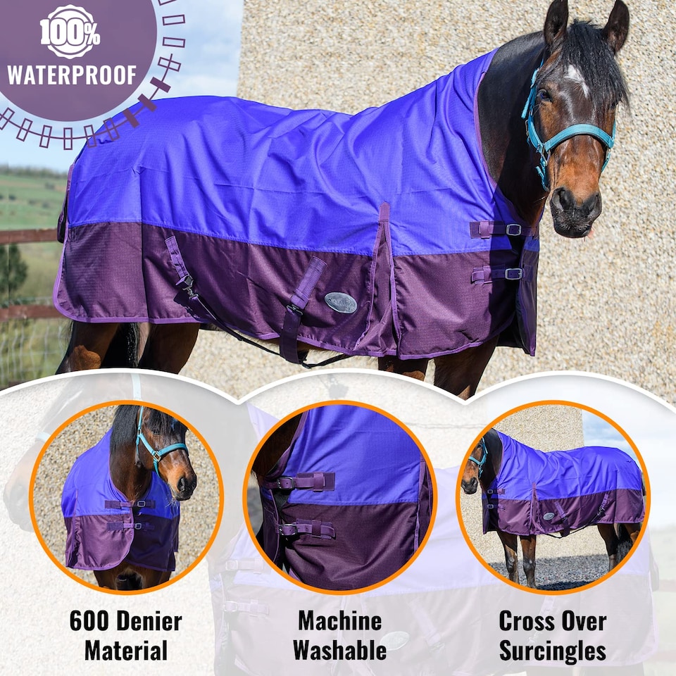 image 1 of eQuitack 600D Waterproof Horse Turnout Rug 0g No Fill Half Neck Purple/Plum 6'6''
