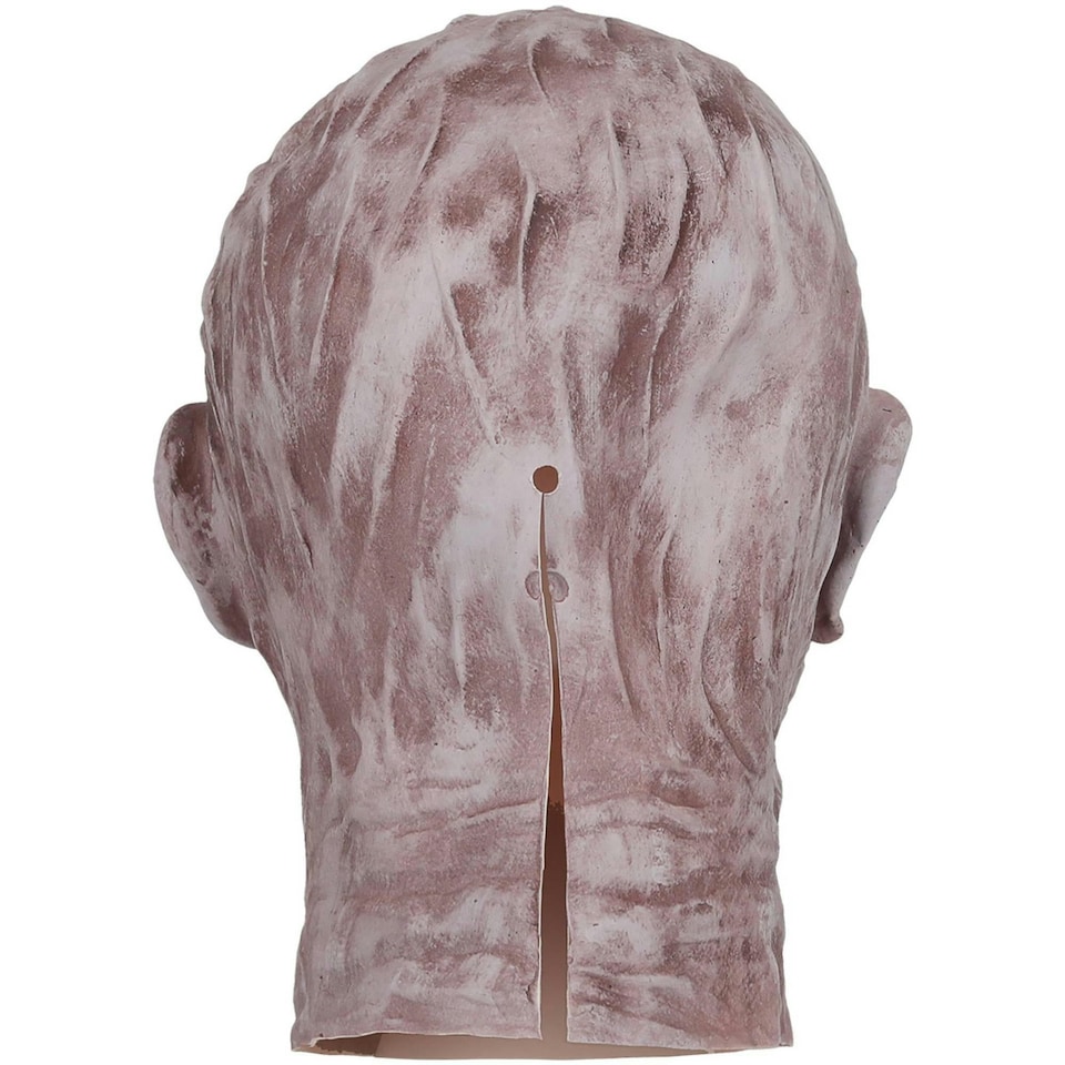 image 1 of Universal Monsters Unisex Adult Mummy Latex Mask - Beige/Brown - One Size | Multi | One Size