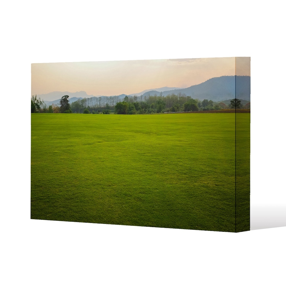 image of lush grass field (Canvas Print) / 114 x 77 x 4cm | Multi