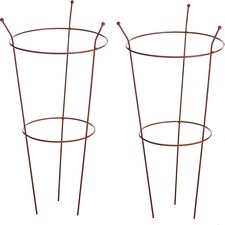 Garden Gear Pre-Rust Corten Peony Plant Frame Large x | Orange | 2