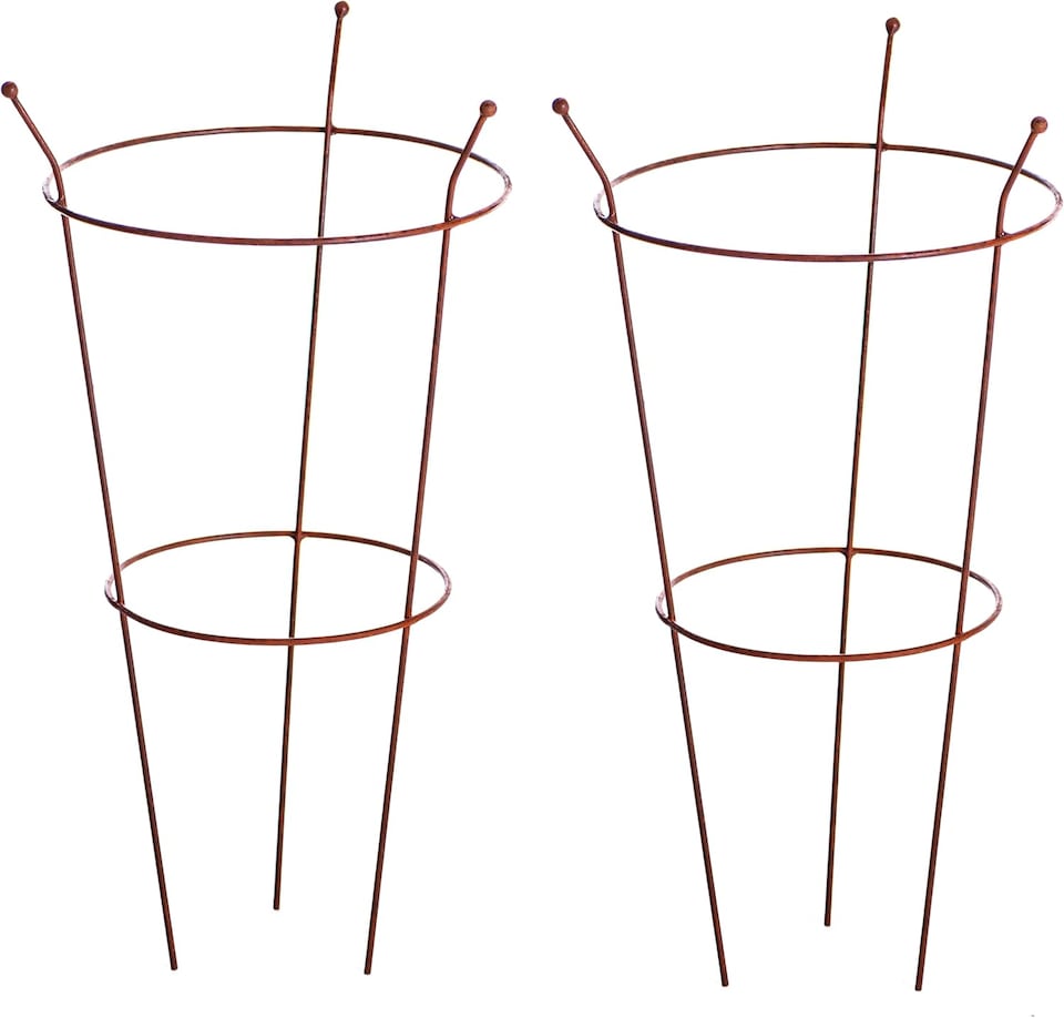 image 1 of Garden Gear Pre-Rust Corten Peony Plant Frame Large x | Orange | 2