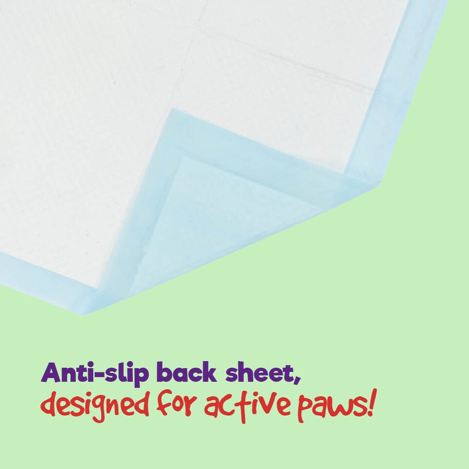 image 1 of Puppy Dog Kitten Toilet Training Pads Pack of 50 Medium