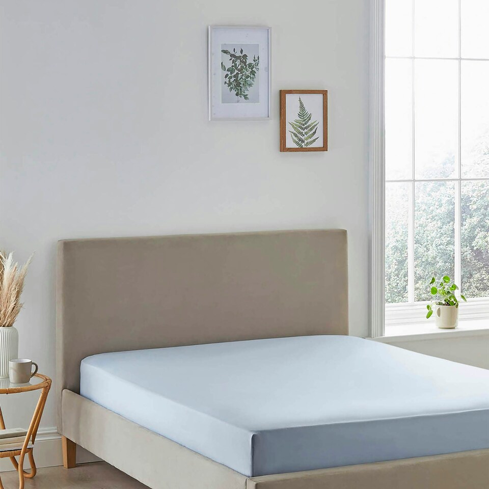 image 1 of 200TC Organic Cotton Fitted Sheet Blue Super King Blue | Super King