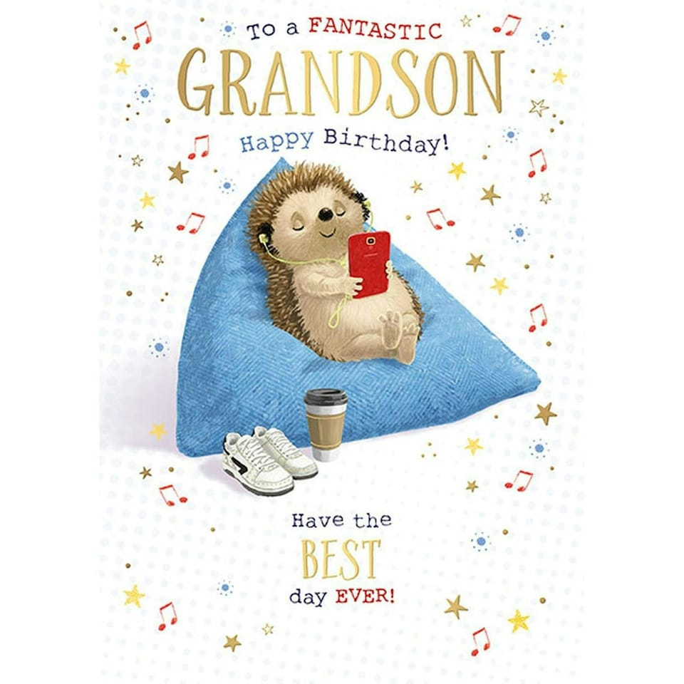 Words 'n' Wishes Fantastic Grandson Birthday Card for Boys - Hedgehog Beanbag Relaxing Embossed with Foil Details - Eco-Friendly