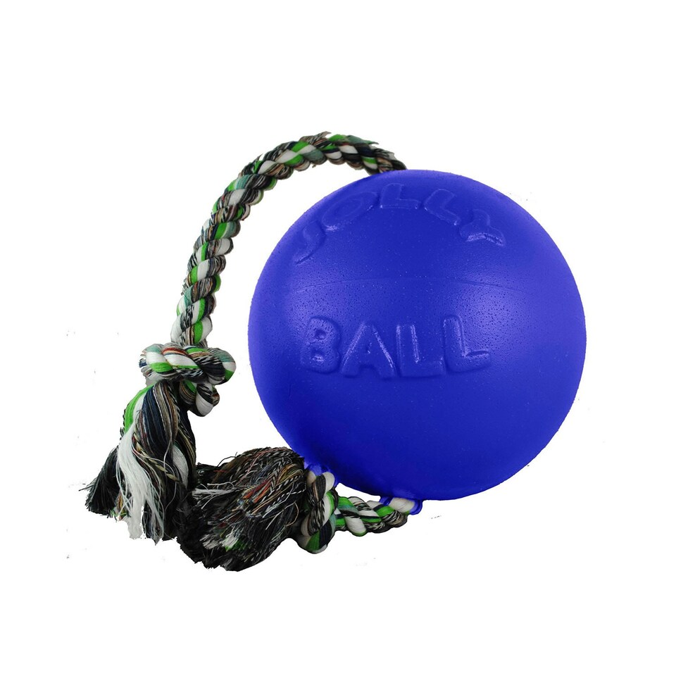 Jolly Pets Romp-N-Roll Dog Ball - Blue - 4.5in