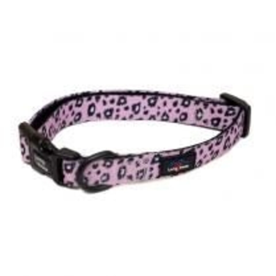 Long Paws - Funk the Dog Collar-Pink Leopard Large