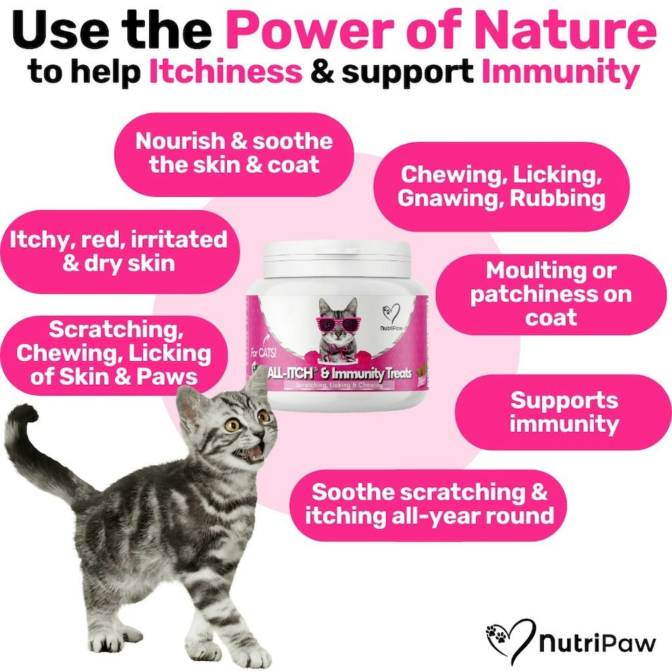 image 1 of All-Itch Chews for Cats