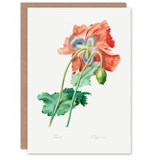 Pierre-Joseph Redouté Art Card Poppy Flower Vintage Botanical