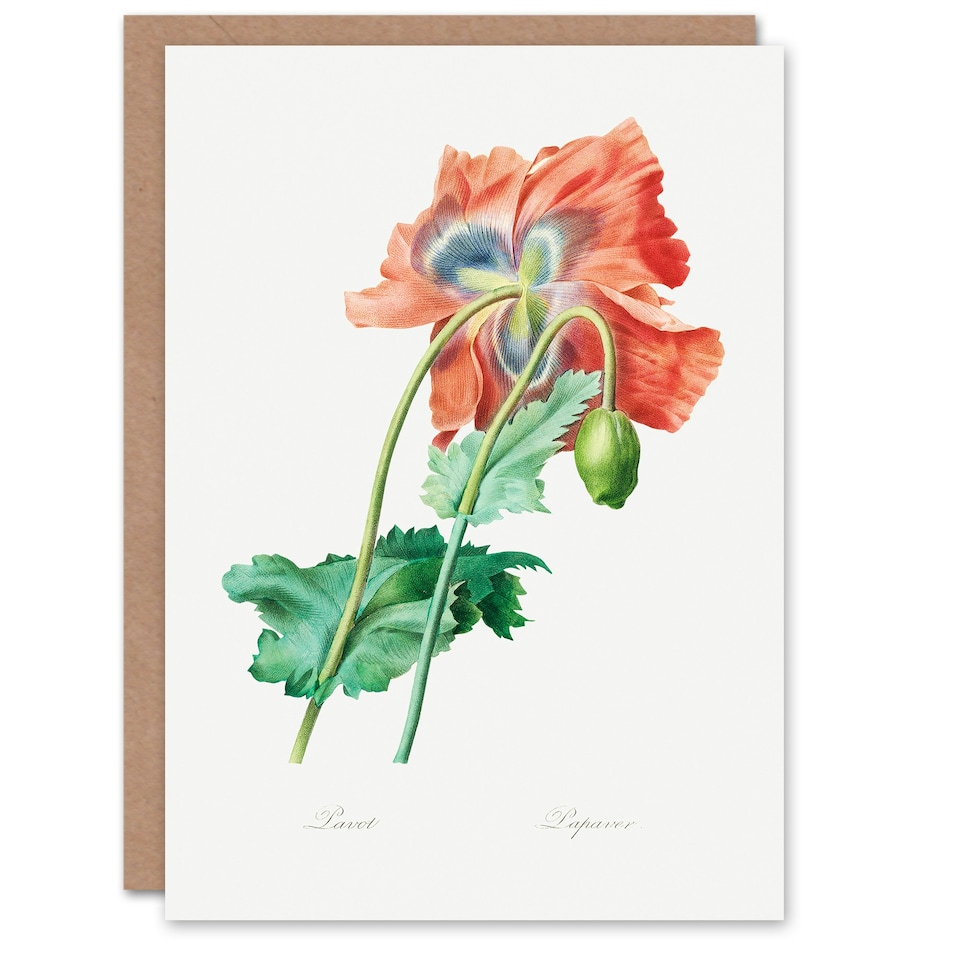 image 1 of Pierre-Joseph Redouté Art Card Poppy Flower Vintage Botanical