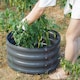 image 5 of Gr8 Garden Outdoor Raised Bed Planter Round Grey Steel Flower Trough Box 60 x 30cm
