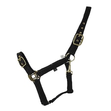 Hy Soft Webbing Head Collar - Navy - Full