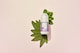 image 8 of Salt of the Earth Refillable Natural Deodorant Roll On Clary Sage & Mint Natural ingredients & Vegan 75ml | Purple