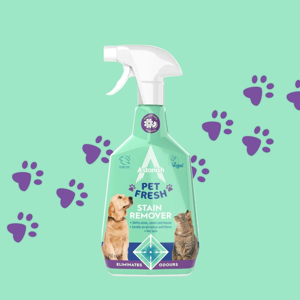 image 1 of Pet Fresh Stain Remover