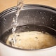 image 3 of Judge Mini Rice Cooker