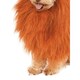 image 2 of Bristol Novelty Lion´s Mane Dog Costume - Brown - One Size