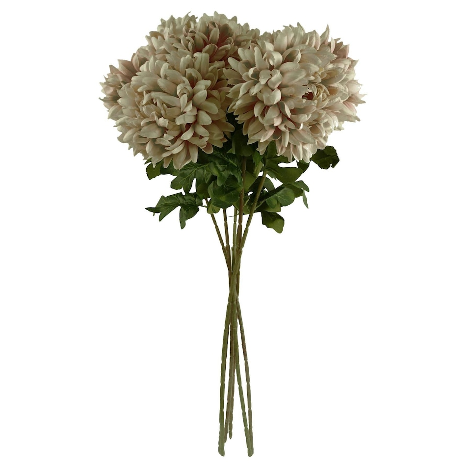 image 1 of Pack of 6 x 75cm Extra Large Reflex Chrysanthemum - Mushroom