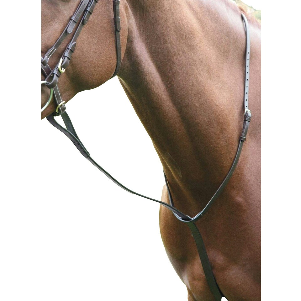 Blenheim Leather Horse Standing Martingale - Havana - Full