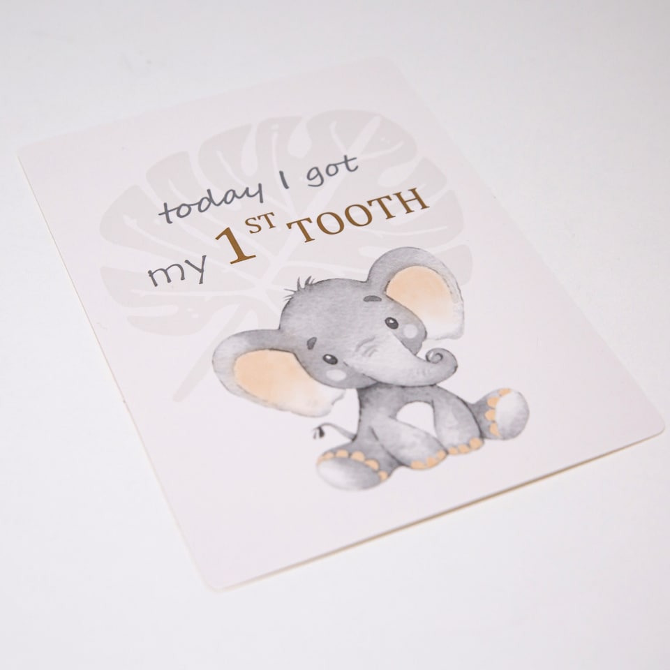 image 1 of Cute Unisex Little ones Elephant Grey Quirky and Fun Set of 24 Milestone Cards