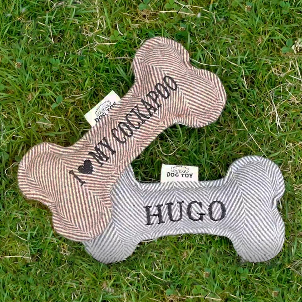 image 1 of History & Heraldry Pre-Personalised Squeaky Bone Dog Toy - Dexter