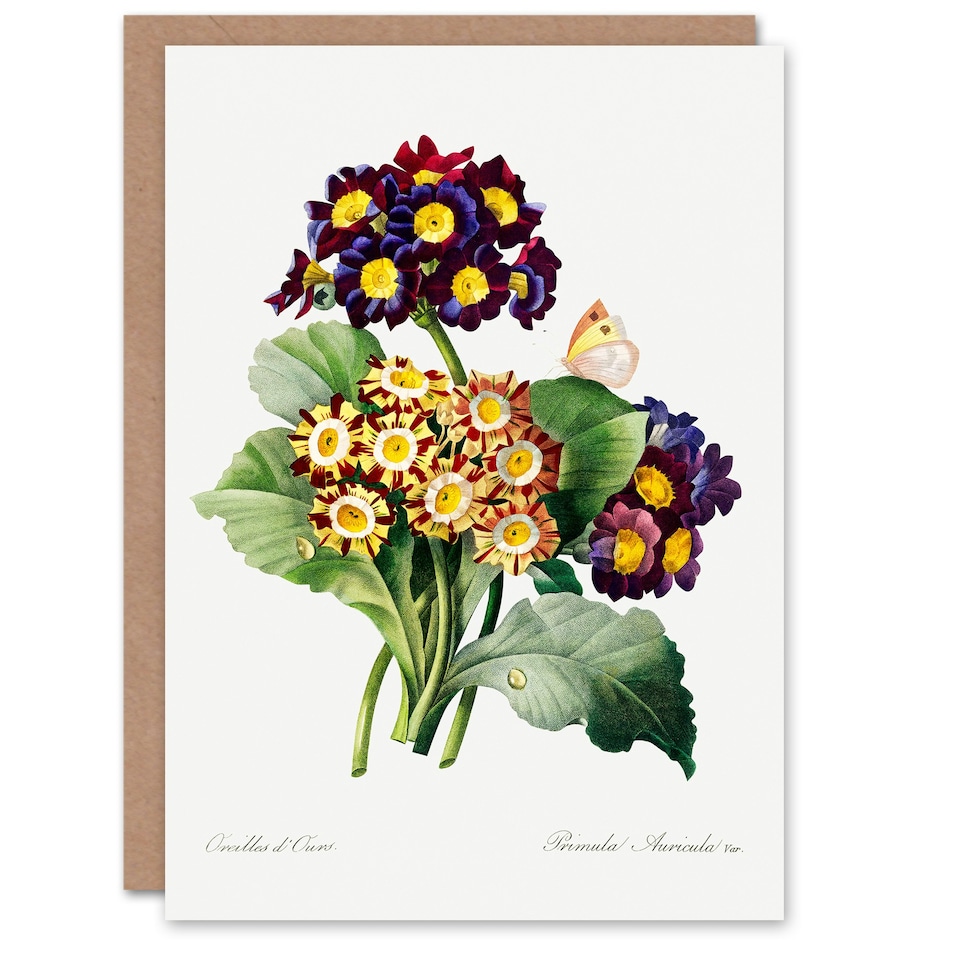 image 1 of Pierre-Joseph Redouté Art Card Primrose Flowers Vintage Floral