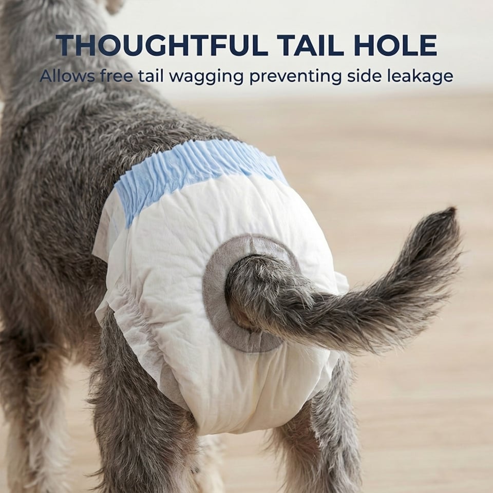 image 1 of PawHut Disposable Dog Diapers Female Dog Nappies M Dogs 48 Count