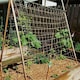 image 1 of True Products Jute Heavy Duty Pea Bean Netting For Climbing Plants 50mm 2m x 5m