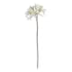 image 1 of The Natural Garden Collection Nerine Lily (Single Stem Flower) - Plastic - Height 61 cm - White