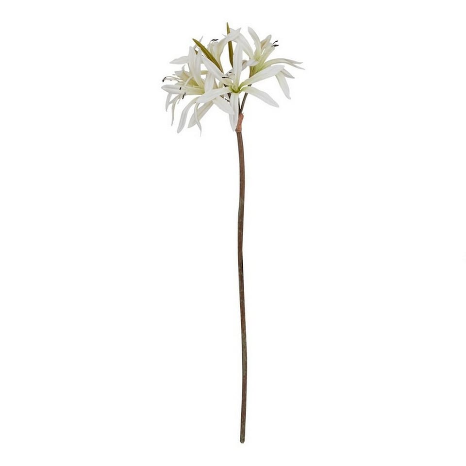 image 1 of The Natural Garden Collection Nerine Lily (Single Stem Flower) - Plastic - Height 61 cm - White