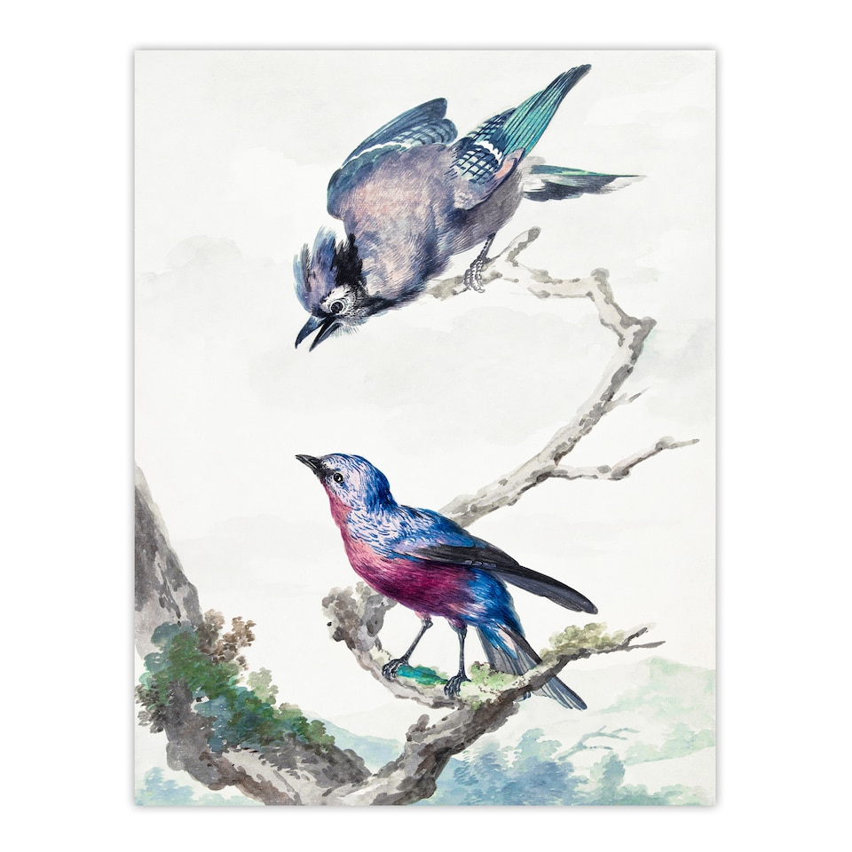 image 1 of Aert Schouman Framed Wall Art Blue Jay and a Purple Breasted Cotinga Home Décor