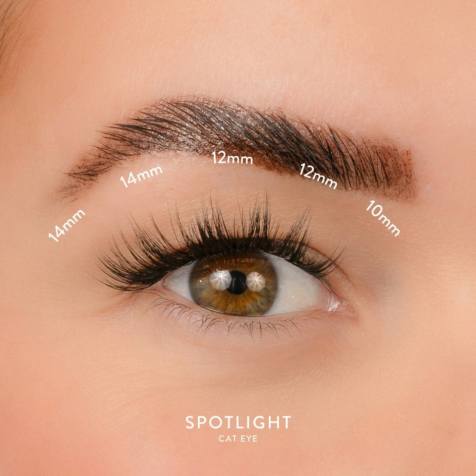 image 1 of House Of Amor - Eyelash Extensions - Spotlight Length - Short