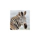 image 3 of Amazing 3D Effect Holographic Greeting Card Up Close Zebra