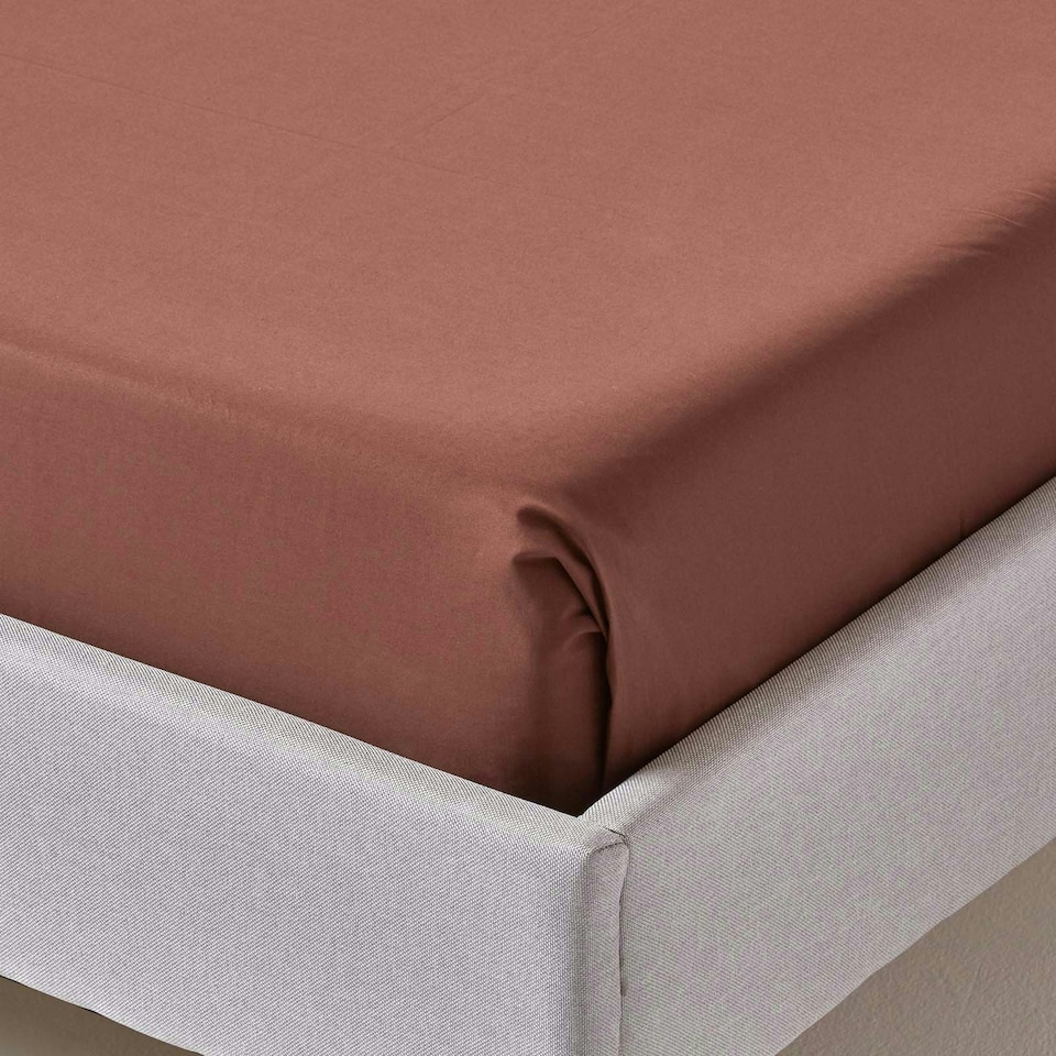 image 1 of Homescapes Chocolate Egyptian Cotton Flat Sheet 200 TC, King Brown | King