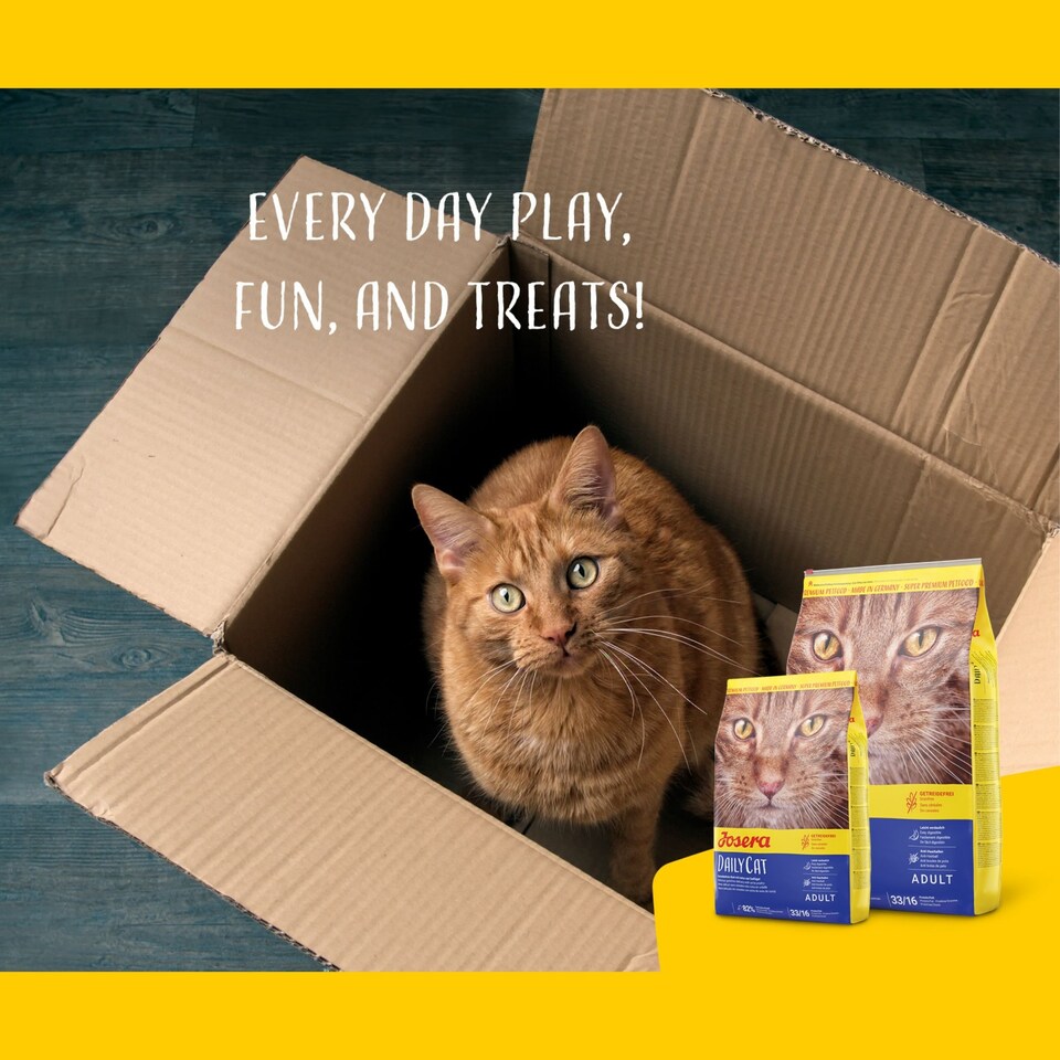 image 1 of Josera DailyCat complete cat food | Grain-free | Ideal for brachycephalic breeds | Chicken & Liver | Anti-hairball | Skin & Coat | Herbs & Fruit | 10kg
