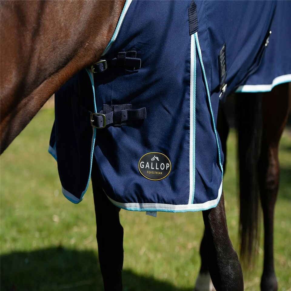 image 1 of Gallop Equestrian Summer Sheet Pink | Size: 6ft 0
Colour: Burgundy