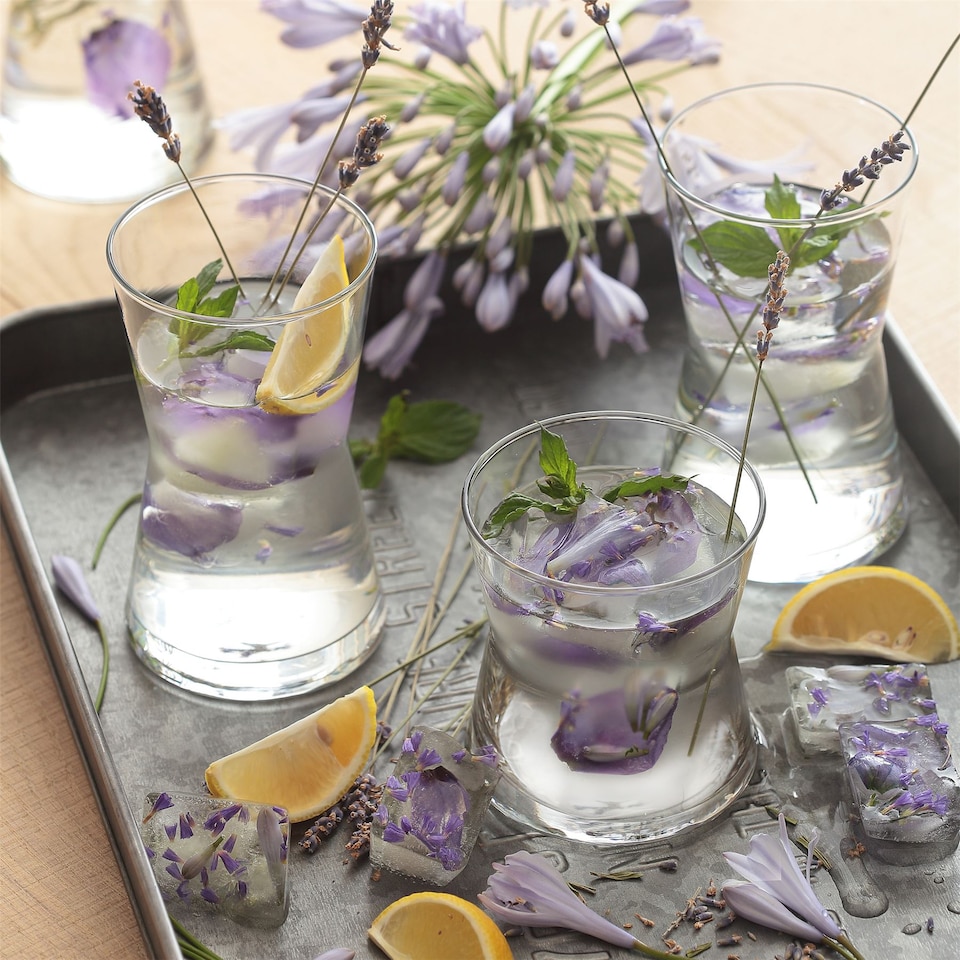 image 1 of LAV Derin Highball Glasses - 350ml - Clear - Pack of 6 | Clear | Clear