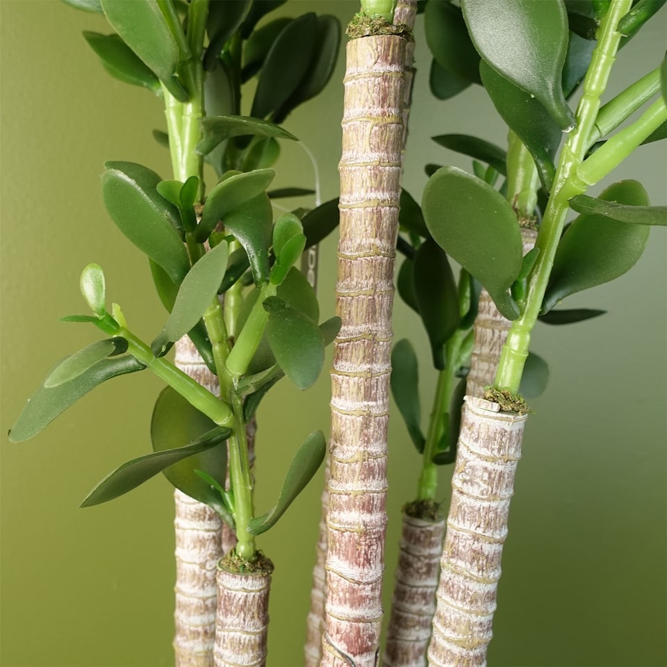 image 1 of Artificial Large Plant Shrub Green Jade 75cm Tall Botanik | Green | 2ft